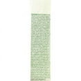 thumbnail image 2 of Tocobo - Cica Calming Sun Serum SPF50+ PA++++ (50ml), 2 of 2