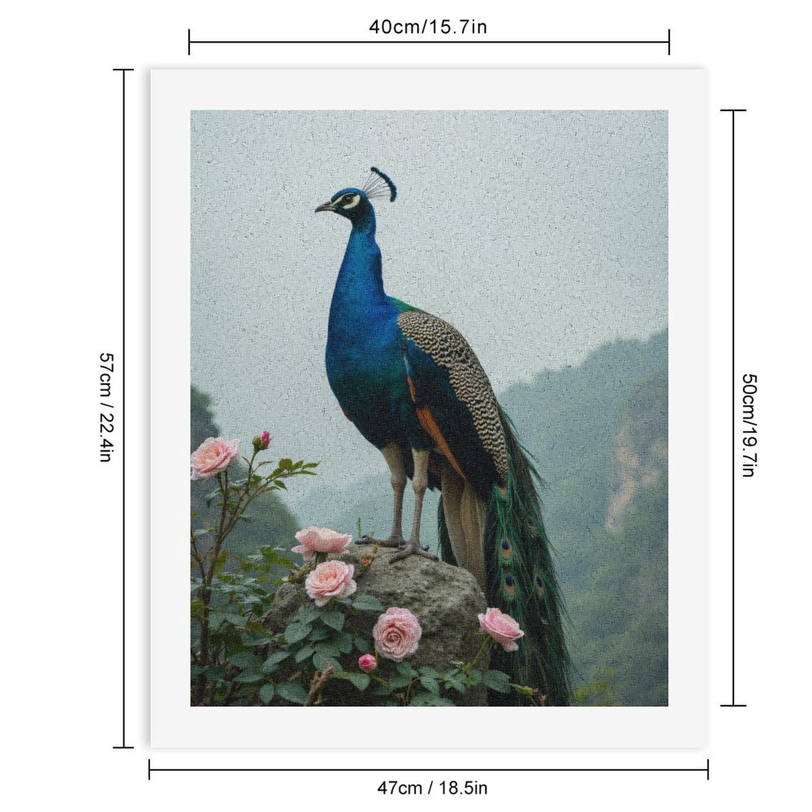 Paint by Numbers Kit for Adults, Peacock Rose Nature Scenic Beauty Paint by Numbers, Easy Paint by Numbers Kit for Adults Beginner, DIY Adult Paint by Number Kits on Canvas, 12x16in Home Decor