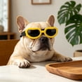 thumbnail image 6 of Dog Sunglasses - UV Protective Pet Goggles with Anti-Fog Lenses, Adjustable Strap for Medium to Large Dogs, Windproof & Shatterproof Eyewear for Outdoor Activities, 6 of 6