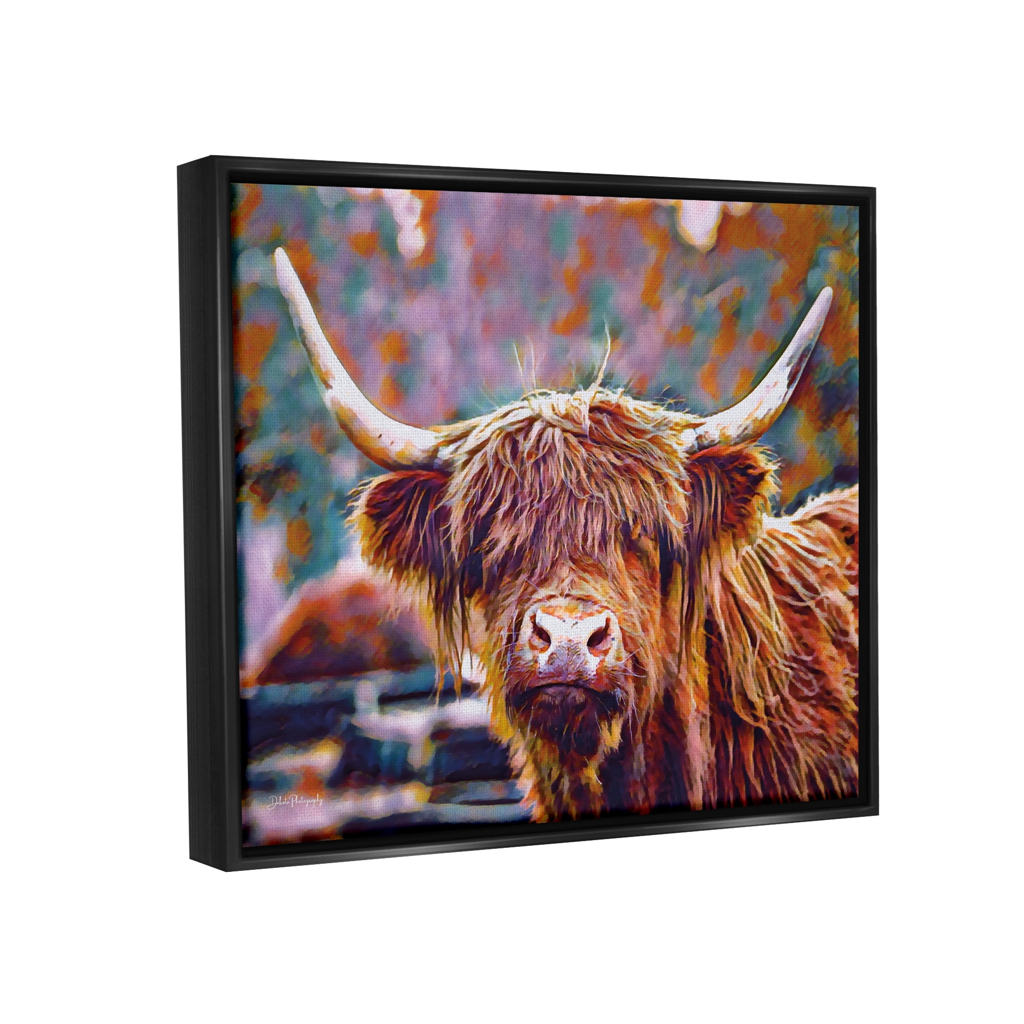 Stupell Industries Highland Cattle Modern Portrait Animals & Insects Photography Black Floater Framed Art Print Wall Art, 21 x 17