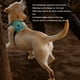 thumbnail image 4 of Arnés para Perros ANGGREK Chaleco Ajustable Reflectante para Entrenamiento, 4 of 8