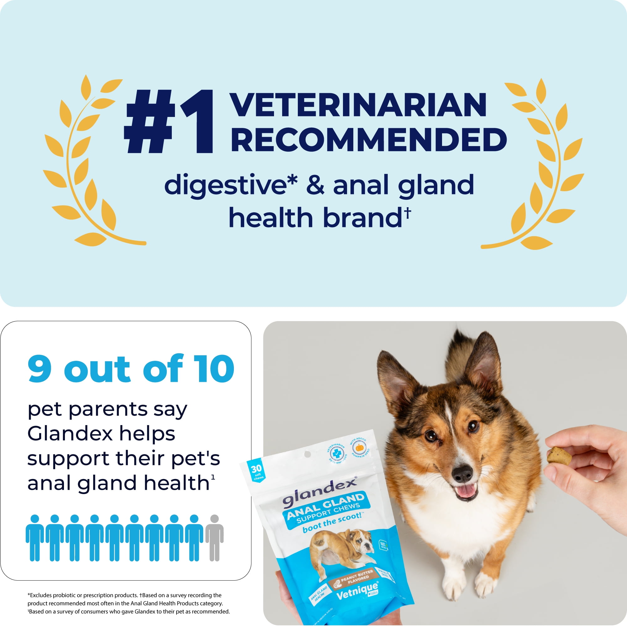 Vetnique Labs Glandex Anal Gland Soft Chews Peanut Butter Flavored for Dogs 40 Count Walmart