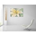 thumbnail image 5 of Epic Art 'Floral Spirit III' by Tim O'Toole, Acrylic Glass Wall Art, 36"x24", 5 of 5
