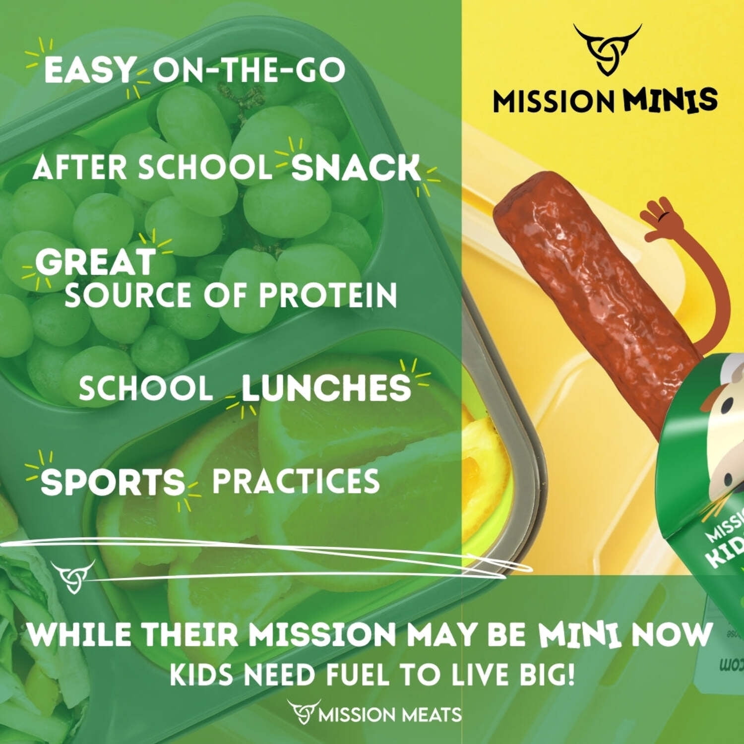 Mission Meats Kids Beef Sticks, 100% Grass Fed, Mini Healthy Snacks for Kids, Zero Sugar, Gluten & Nut Free, Individually Wrapped, 0.5oz (24ct Bag)