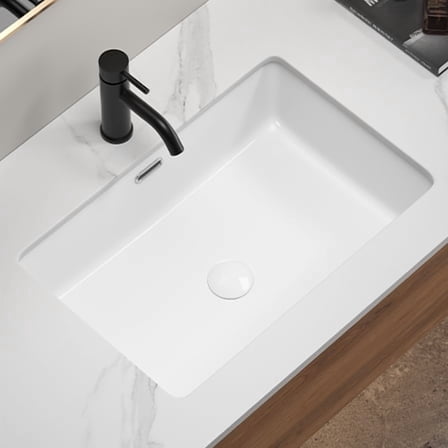 undermount Kitchen Sink Eridanus 24" L x 16" W Undermount Kitchen Sink White Ceramic Sink Deep Single Bowl without Bottom Grid and Strainer Drain