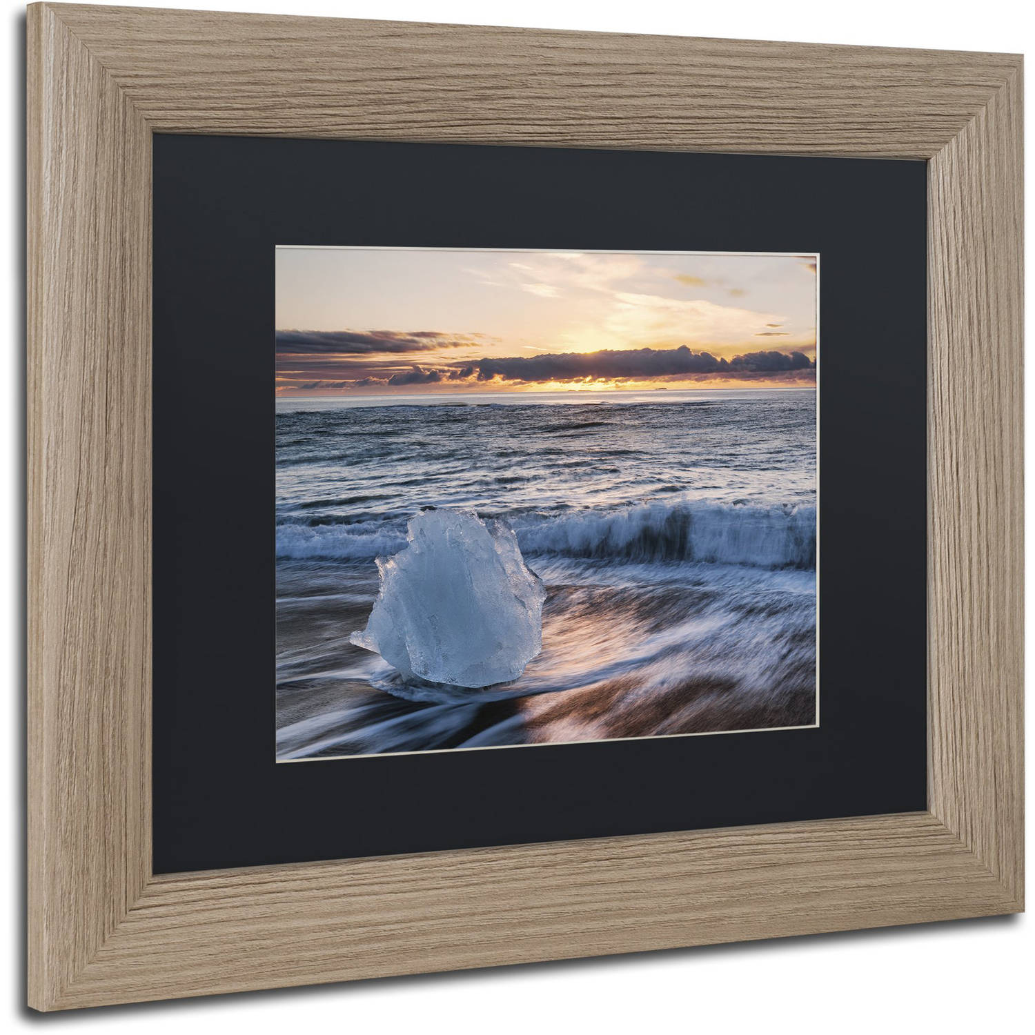 Trademark Fine Art "Crystal Floret" Canvas Art by Michael Blanchette Photography Black Matte, Birch Frame