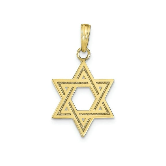 FJC Finejewelers 10k Yellow Gold Jewish Star Of David with Edges Charm