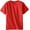 Red, variant on Short Sleeve UPF 50+ Rash Guard Swim Shirt Surf for Boys Girls - Toddler 3 - Red