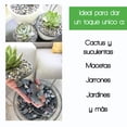 thumbnail image 4 of Piedra Decorativa - Ideal para macetas, Jardines, decoración Smart Garden Granulometría Grande, Sea Stone, 4 of 6