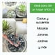 thumbnail image 4 of Piedra Decorativa - Ideal para macetas, Jardines, decoración Smart Garden Granulometría Grande, Sea Stone, 4 of 6