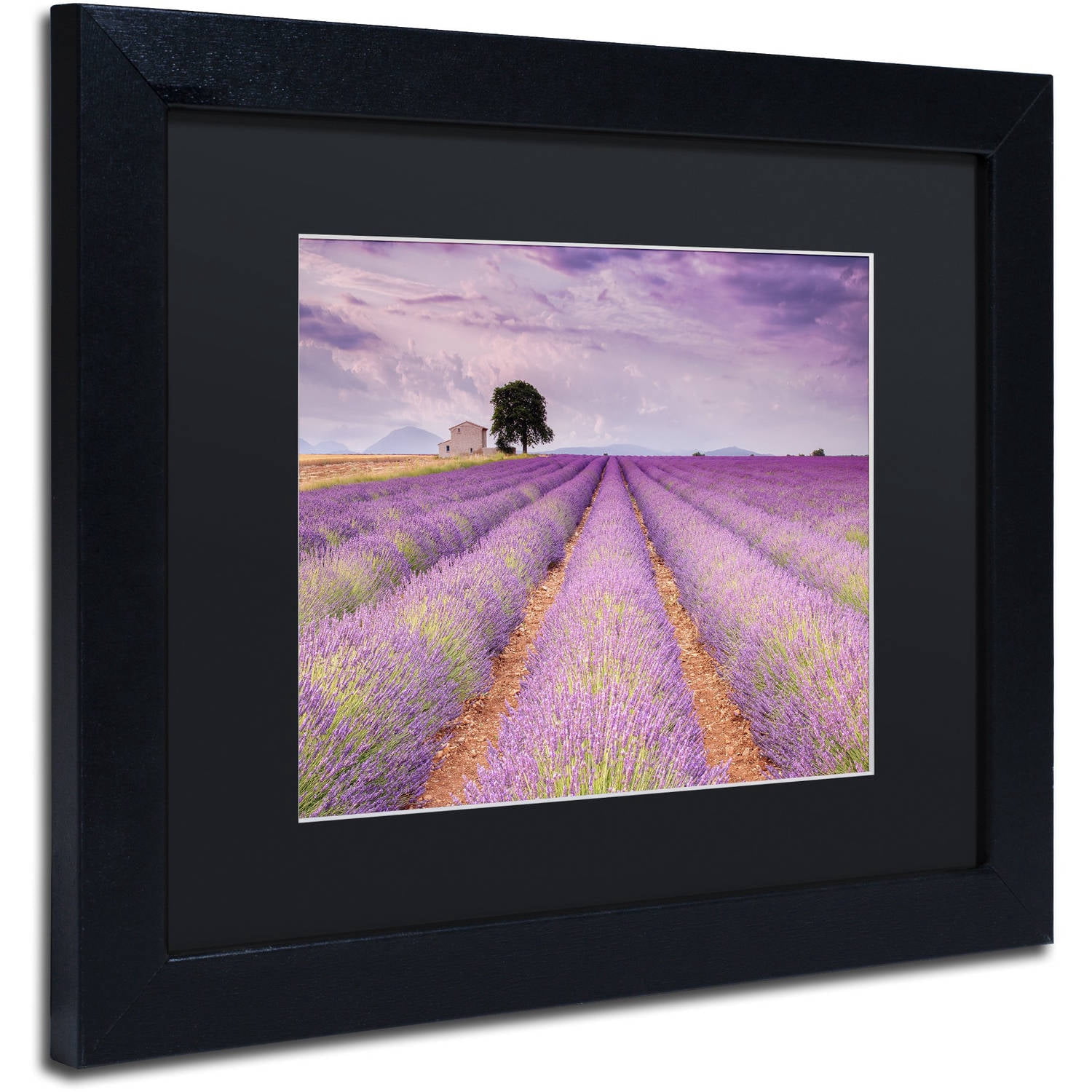 Trademark Fine Art 'Stone House' Canvas Art by Michael Blanchette Photography, Black Matte, Black Frame