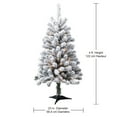 thumbnail image 3 of Holiday Time Greenfield 4' Pre-Lit Regular Full Flocked Pine Christmas Tree - Green, 3 of 5