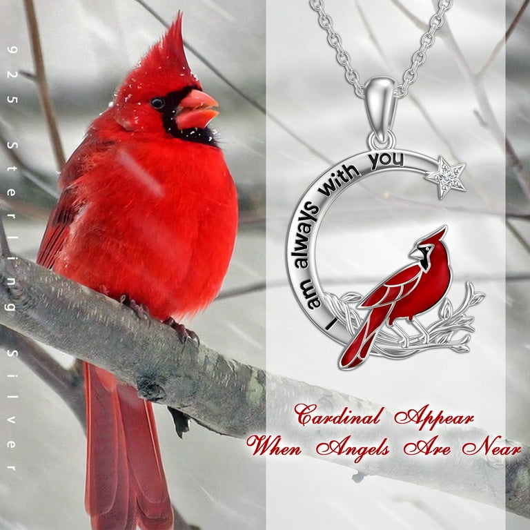 Cardinal necklace kohls deals
