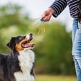 thumbnail image 4 of Btomtd Pet Trainer Thumb Training Device Audio Interactive Clicker Dog Training Tool For Cats And Dogs All Purpose, 4 of 6