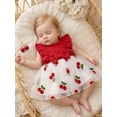 thumbnail image 4 of RUINIXCW Newborn Baby Girl Summer Cherry Tulle Dress Cake Smash Outfit Baby Girls Photoshoot Outfits Cherry Embroidered Bow Ruffled Trim Flying Sleeve Princess Tutu Dress, 4 of 9