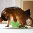 thumbnail image 4 of Unique Bargains Cat Playing Ball with Galls Fruit for Indoor Green, 4 of 7