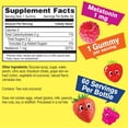 thumbnail image 2 of WellYeah Kids Melatonin Gummies 1 mg - Drug-Free Sleep Aid Gummy Supplement, Sleep Support for Kids - Gluten Free, Gelatin Free, Non GMO, Vegetarian - Natural Berry Flavor - 60 Gummies, 2 of 5