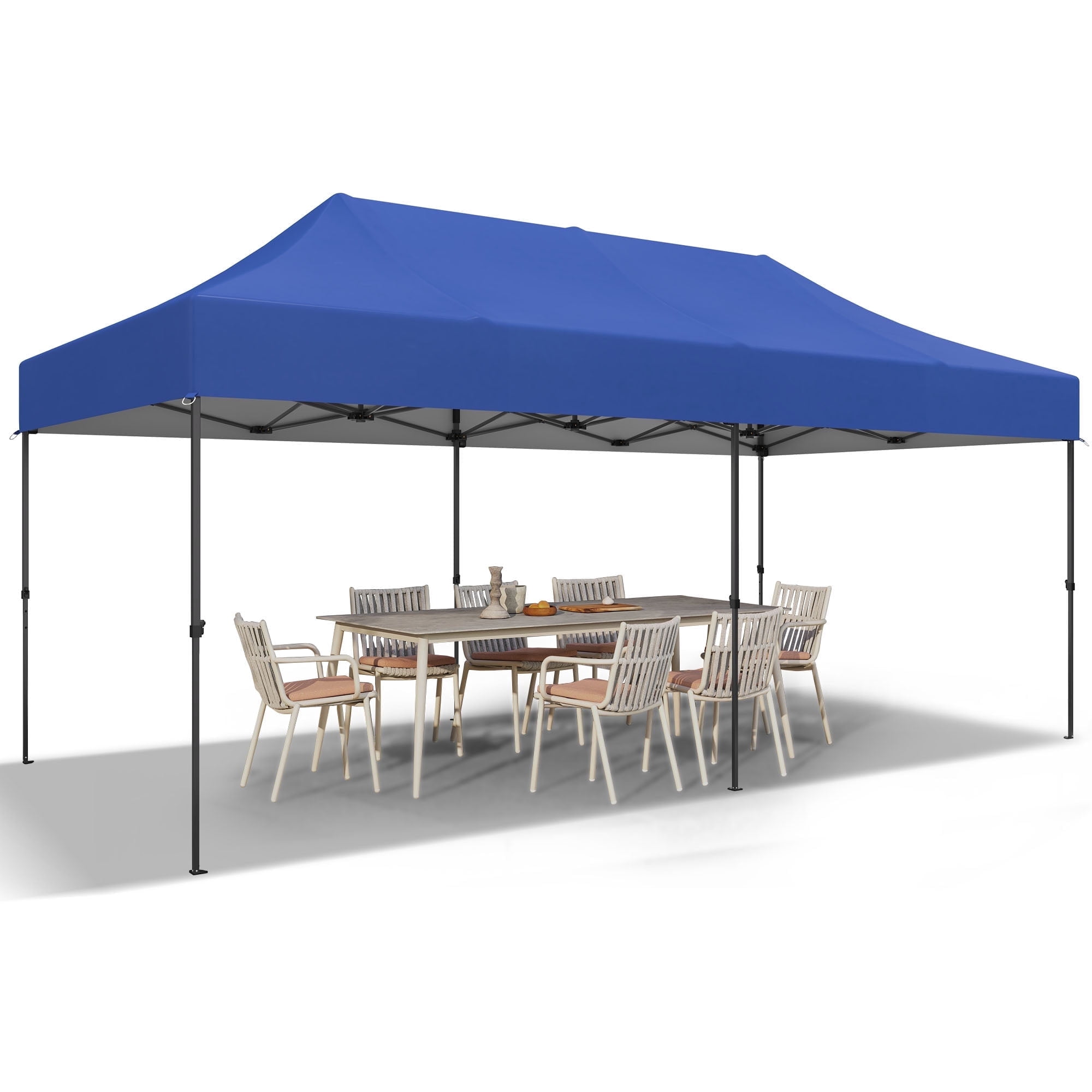 Free Shipping! E-Z UP Vantage Instant Shelter 10 x 10 Portable