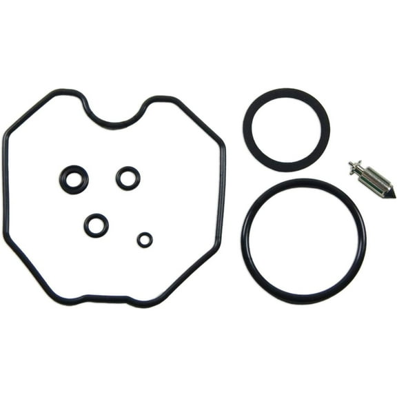 Carburetor Rebuild Repair Parts Kit Fits Honda TRX250 X Fourtrax Recon Sportrax 0101-289