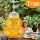 thumbnail image 4 of Sywqhk Calabaza botella de abeja trampa para avispas trampa para abejas Sywqhk Para estrenar, 4 of 9