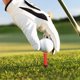 thumbnail image 3 of Soporte para Pelota de golf Duradero 5 Piezas 83 Mm Ndcxsfigh, 3 of 9