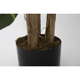 thumbnail image 5 of Vintage Home Artificial Faux 66" Tall Scindapsus Aureus And Banana Skin With Eco-Paper Planter With Eco Planter, 5 of 5