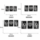 thumbnail image 4 of Cuadro Decorativo de Metal con Diseño combo love home  Grande, 4 of 4