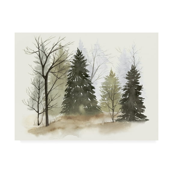 Trademark Fine Art 'In The Mist Ii' Canvas Art by Grace Popp