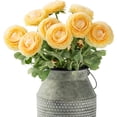 thumbnail image 1 of Nvzi Flores de ranúnculo artificiales con tallos de tacto real, flores de ranúnculo de seda (paquete de 6) (champán), 1 of 5