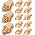 thumbnail image 1 of OULII 50Pcs Round Studs Rivet in Golden Color for Punk Enthusiasts and DIY Projects, 1 of 8