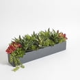 thumbnail image 5 of Rectangular Artificial Succulent Arrangement, Gray Planter, 5 of 5