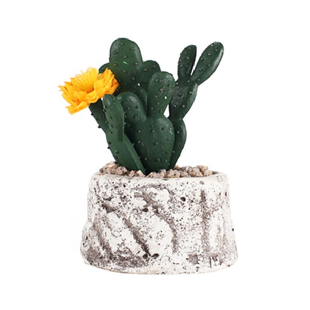 Mini plantas suculentas frescas, simulación de macetas, plantas en maceta, adorno de bonsái, decoración de escritorio