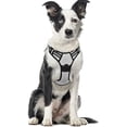 thumbnail image 1 of rabbitgoo No-Pull Pet Harness with 2 Leash Clips  Adjustable Soft Padded  Reflective No-Choke Pet Oxford Vest with Easy Control Handle for Large Dogs  Pink  L, 1 of 9
