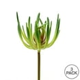 thumbnail image 2 of Vickerman VICK-FO180401 Vickerman 7 Pouces Vert Jade Pick 3/Pk - FO180401, 2 of 3
