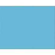 Pacon® Peacock® 100% Recycled Railroad Board, 22" x 28", 4-Ply, Light Blue, Carton Of 25 Sheets