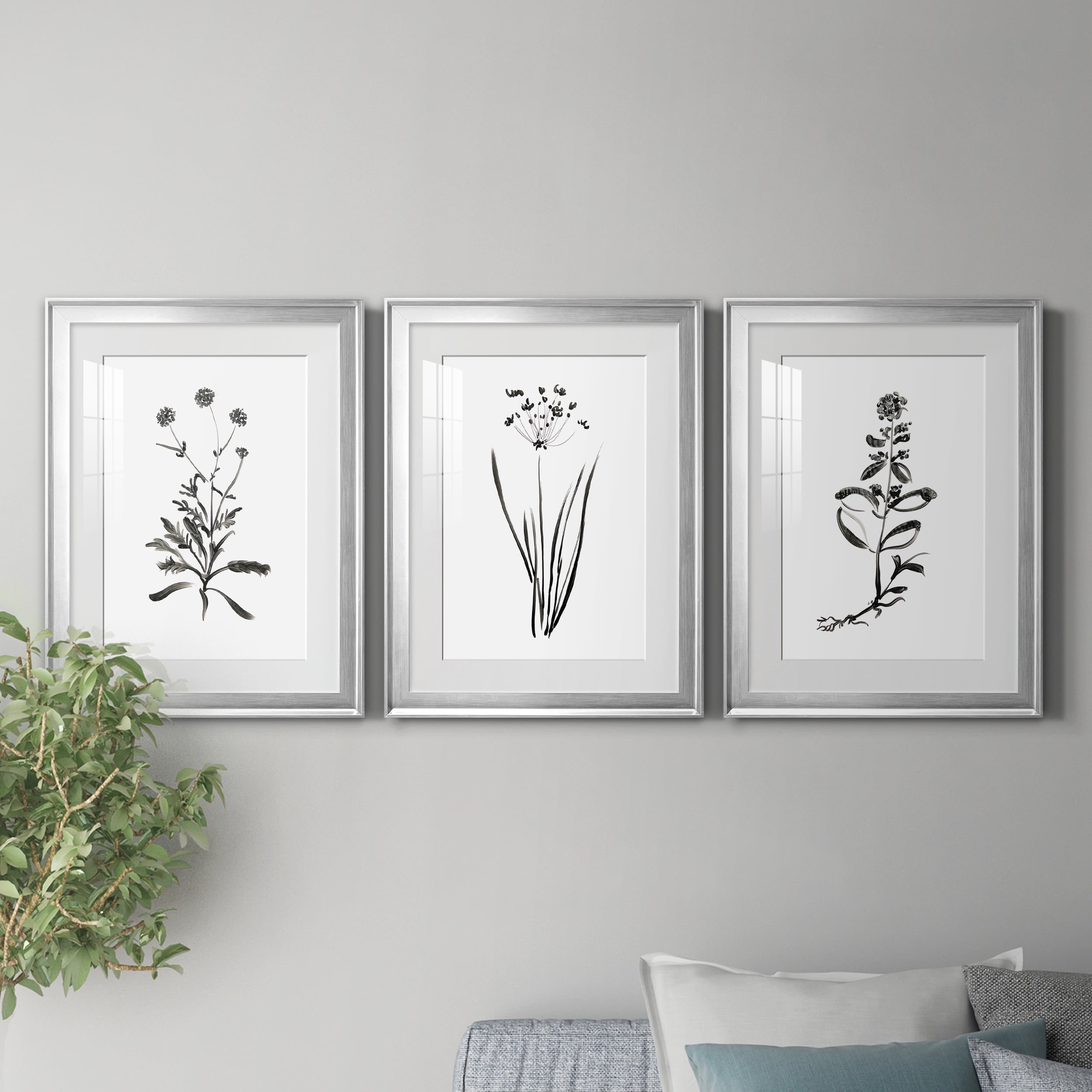 Inky Botanical I Premium Framed Prints Set of 3 - Ready to Hang - 18 x 24 Each - Silver Frame