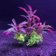 thumbnail image 4 of Artificial Plant Aquarium Ornament, High Simulation Plastic Harmless Anti-fade Water Grass Fish Tank Decoration for Hotel Home Office Decoration, 4 of 8