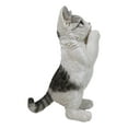 thumbnail image 3 of Realistic Begging Feline Shorthair Calico Cat Kitten Figurine With Glass Eyes, 3 of 9