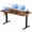 Brown, variant on Smart Electric Standing Desk 63" x 23.6" Adjustable Height Computer Desk with 3 Memory Presets, Dual Motor, 176LBS Load, Cable Management, T-Shaped Frame, for Home Office