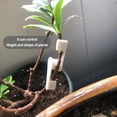 thumbnail image 3 of APPERANCIA EXQUISITO EXQUISITO BLANCO BLANCO DE LA PLANTA DE LA PLANTA PARA LA BOTANA DE LA BOTANA DE LA HECHILLA DE LA HEBILLA DE LA COMPRENCIA DE LA HEJA DE LA HEBIDA DE LA BOTANA Speravity HA059477-00, 3 of 7