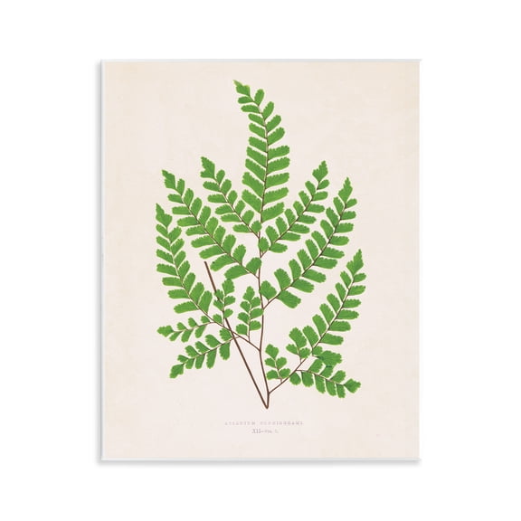 Stupell Industries Woodland Sprigs Study Floral Painting Unframed Art Print Wall Art, 11 x 14