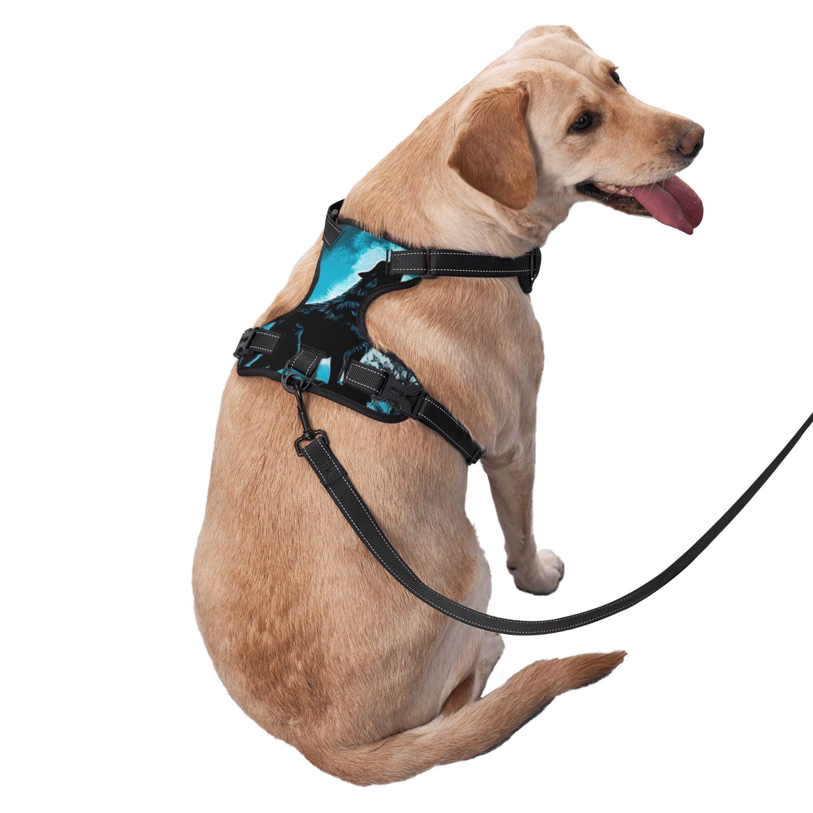 Fuzoiu Blue Full Moon Wolf Print Reflective Dog Harness,Adjustable, Breathable Pet Vest,Dog Harness No Pull,No Choke Pet Vest for Small, Medium, and Large Dogs-Small
