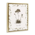 thumbnail image 2 of Stupell Industries Traditional Neutral Imperial Flower & Herb Gold Floating Frame Canvas Art, 17 x 21, by Kelly Donovan, 2 of 8