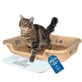 thumbnail image 1 of Caja de arena para gatos KittyGoHere para personas mayores, playa, arena, entrada baja, 1 of 8