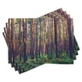 thumbnail image 1 of Ambesonne Nature Place Mats Set of 4, Fall Trees Forest Trunks, Standard Size, Green Brown, 1 of 6