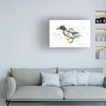 thumbnail image 2 of Trademark Fine Art 'Duck 1' Canvas Art by Michelle Campbell, 2 of 4