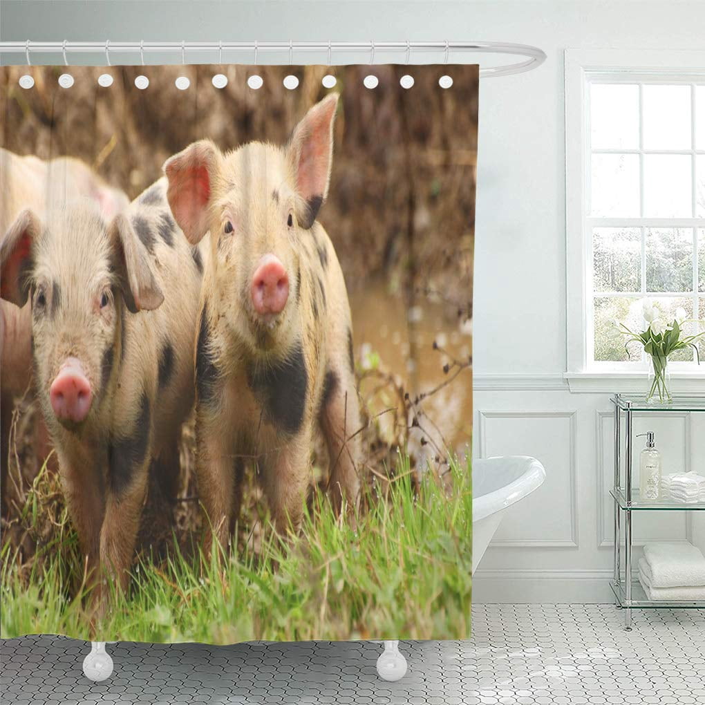 Cynlon Baby Pig Cute Little Piglets Farm Croatia Dirty Bathroom Decor Bath Shower Curtain 60x72 Inch Walmart Com Walmart Com