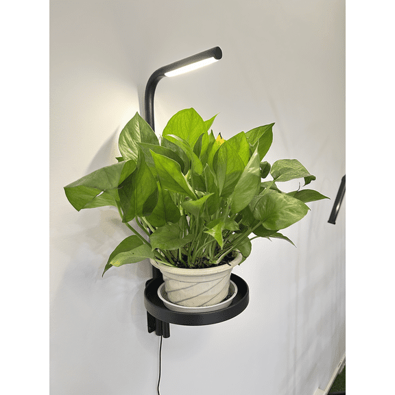 Bamworld Wall Planters with grpw Lights, Hanging Flower Pot Holder for Indoor，Floating Shelves for Wall for Bedroom, Living Room, Kitchen