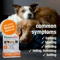 thumbnail image 3 of HomeoPet STORM STRESS Calming Support Drops for Pets, 15 mL, 3 of 7