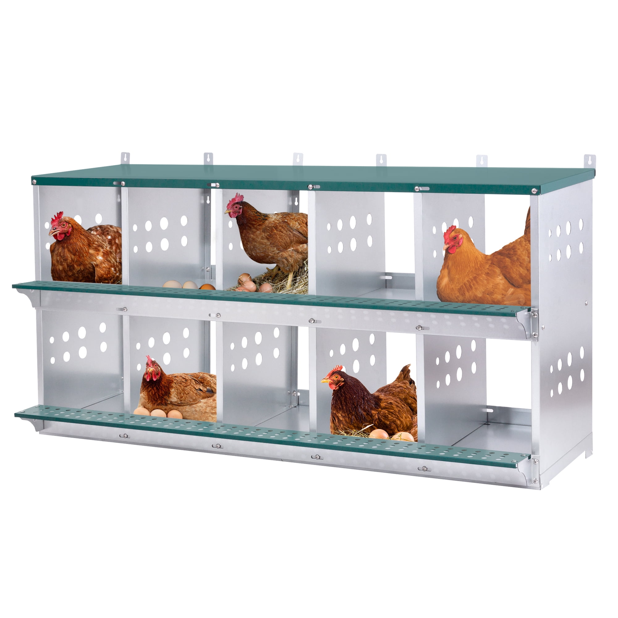 Miniyam 10-Bay Metal Nest Box-Wall Mount for Hens/Ducks, Easy Egg Collection & Assembly, Vented Galvanized Steel Coop Equipment Grenn